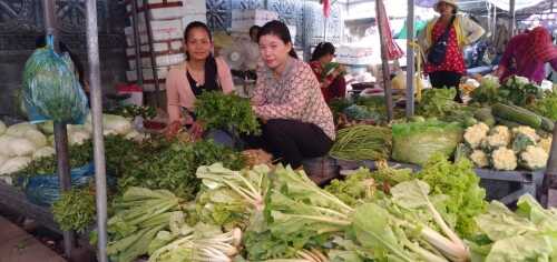 柬埔寨5月通胀同比增加逾6%