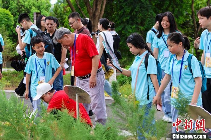 识百草、认中药 菲律宾华裔青少年福建体验中医药文化