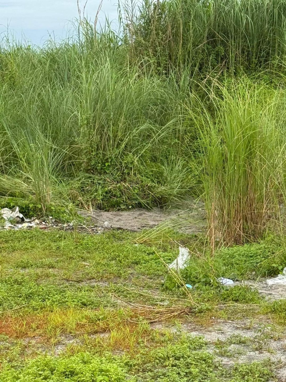 又是警察作案! 失踪选美小姐及其男友遗体已找到