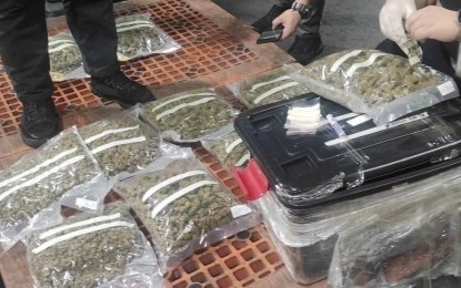 菲律宾海关局再次从泰国包裹查获30公斤大麻