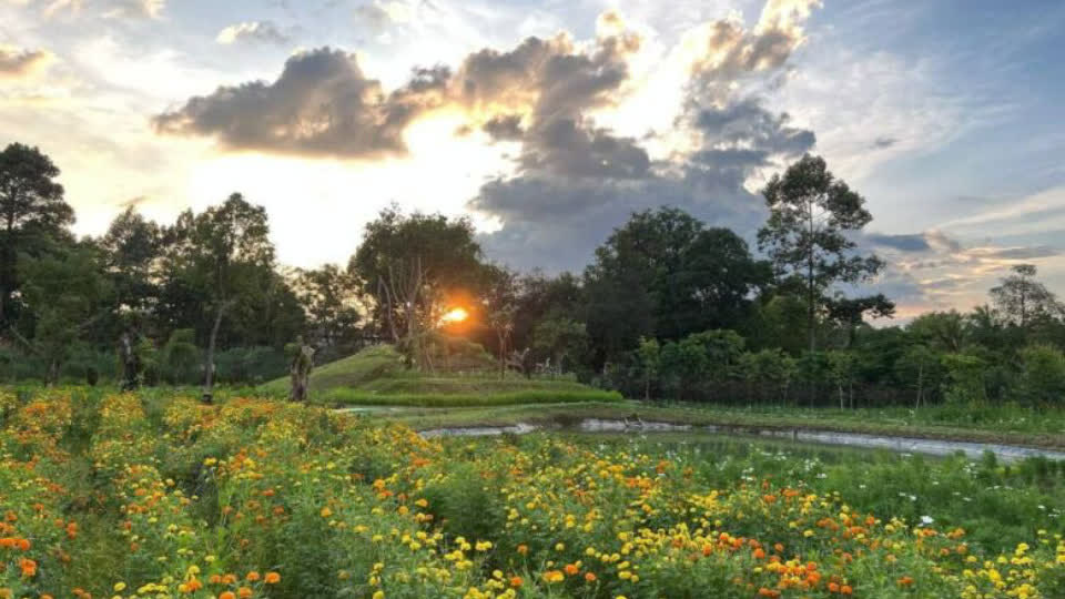 柬埔寨吴哥植物园正式开幕，首次开放可免费参观！